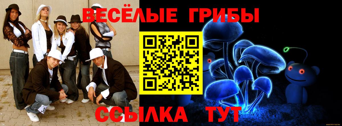 Городец  Псилоцибиновые грибы мицелий  Вход с VPN  Псилоцибиновые грибы MAGIC MUSHROOMS 